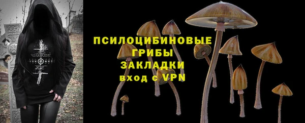 эйфоретик Балахна