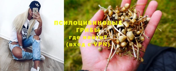 эйфоретик Балахна