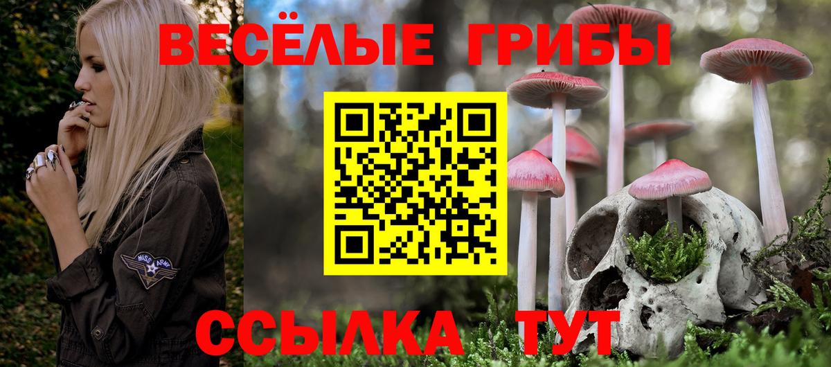 Псилоцибиновые грибы Cubensis  наркота  Псилоцибиновые грибы Magic Shrooms  Балтийск  Вход с VPN 